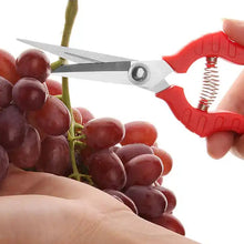 Trimming scissors with stainless steel blades, designed for efficient plant and flower care.