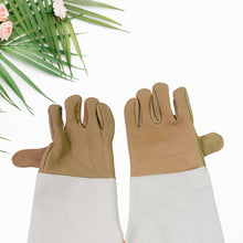 Garden Gloves for Gardening Work (1 Pair / B Grade / Big)